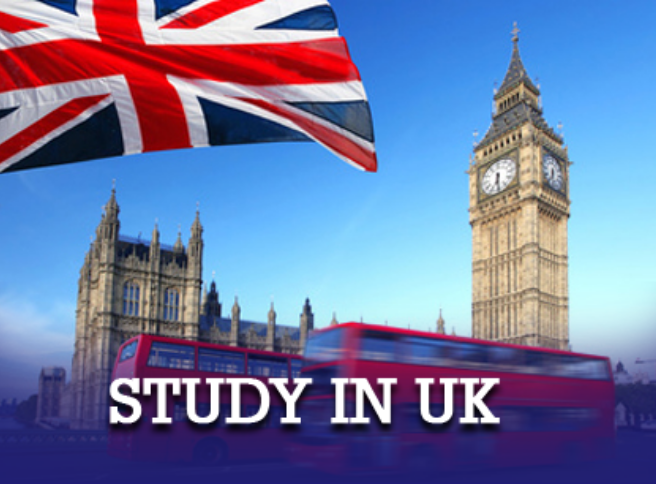 Best immigration company in Hoshiarpur